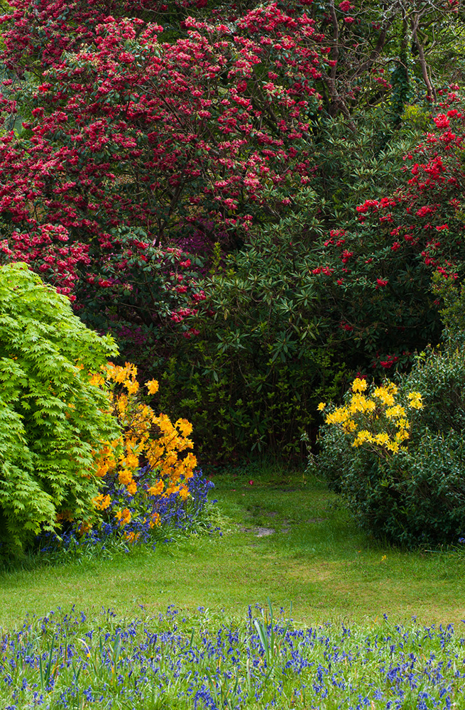 Furzey Gardens New Forest April Colours 3